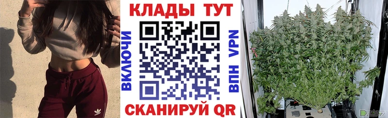 Купить наркотики сайты Емва Метамфетамин  A PVP  Гашиш  Лсд 25  Марихуана  Мефедрон 