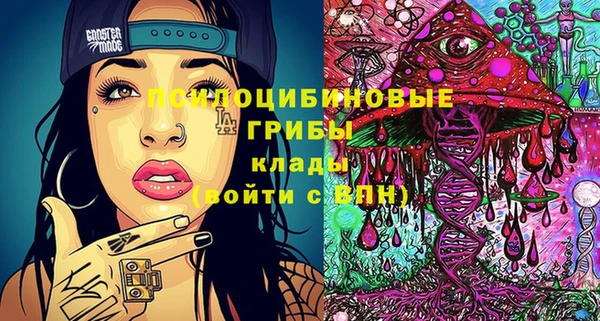 хмурый Абинск