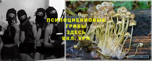 не бодяженный Осташков