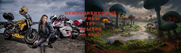 хмурый Абинск
