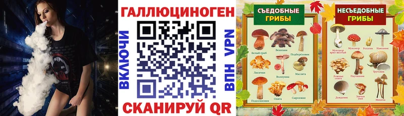 купить наркотики сайты  Емва  Псилоцибиновые грибы GOLDEN TEACHER 